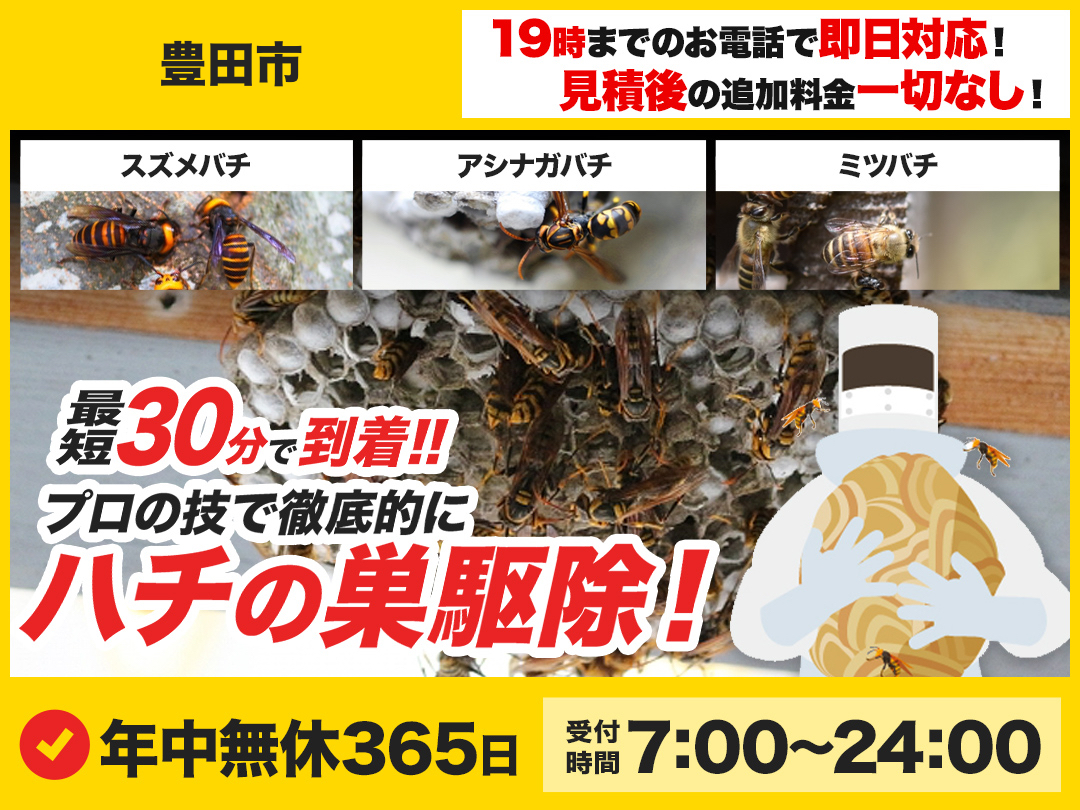 蜂の巣駆除出張救急車【豊田市エリア】のメイン画像