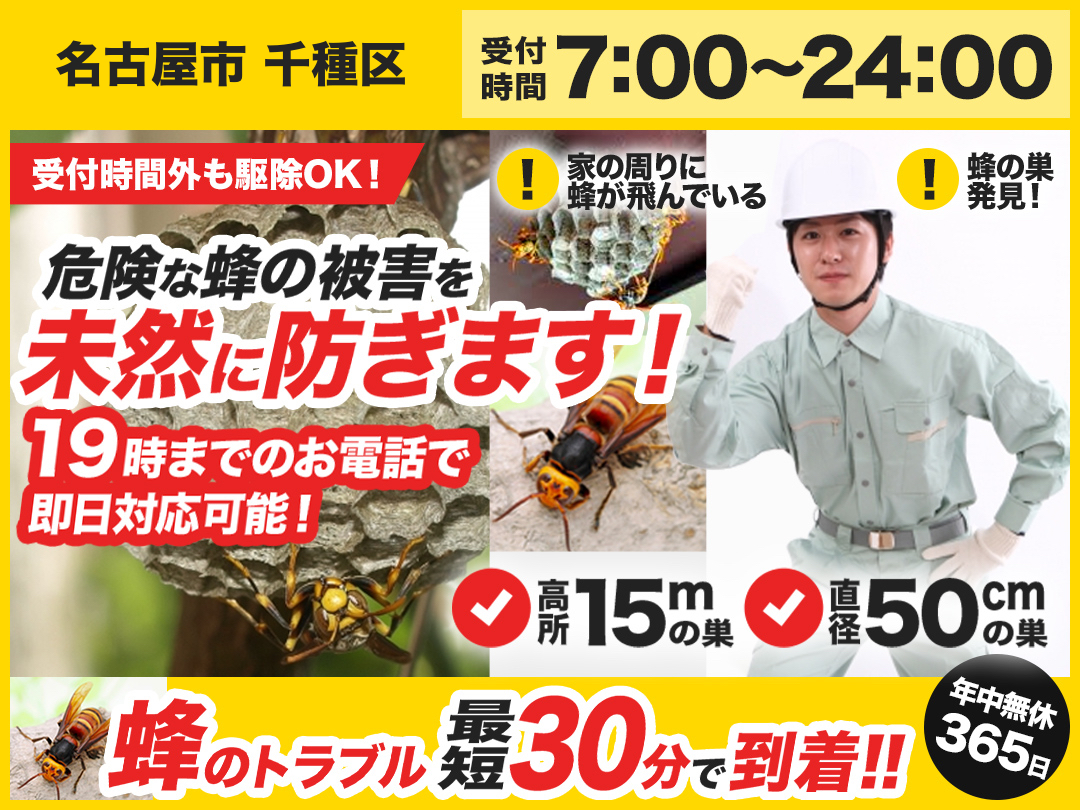 蜂の巣駆除救Q車.24【名古屋市 千種区エリア】のメイン画像
