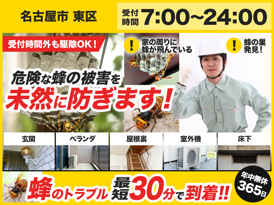 蜂の巣駆除出張救急車【名古屋市 東区エリア】のメイン画像