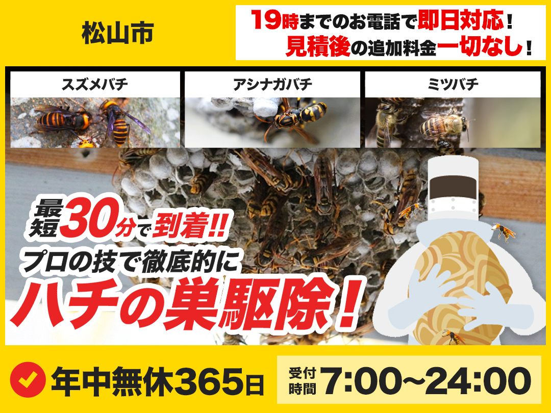 蜂の巣駆除専門救急車【松山市エリア】のメイン画像