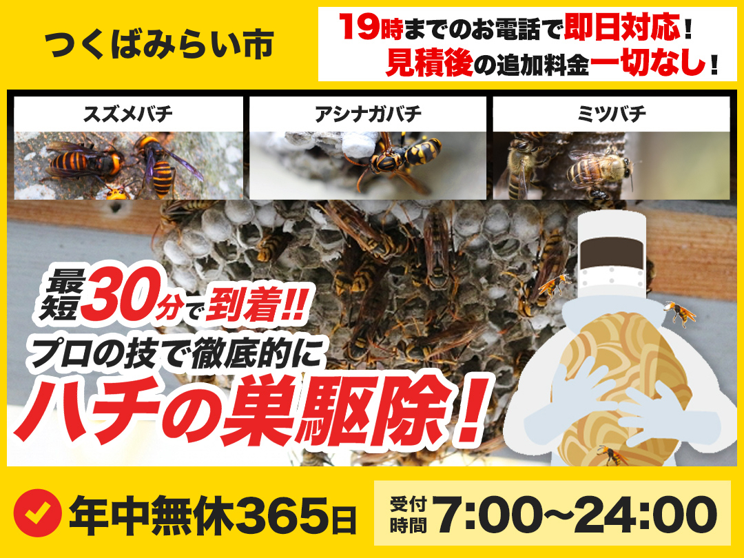 蜂の巣駆除救急車.24【つくばみらい市エリア】のメイン画像