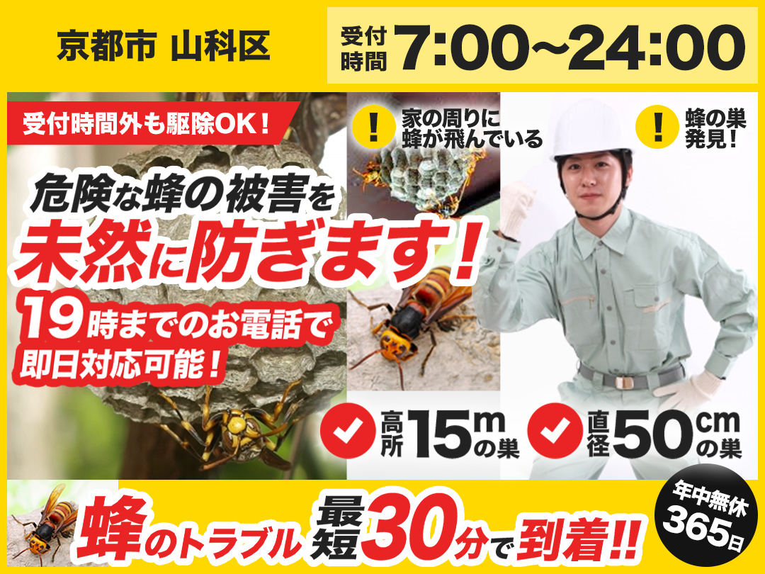蜂の巣トラブル救Q車.24【京都市 山科区エリア】のメイン画像
