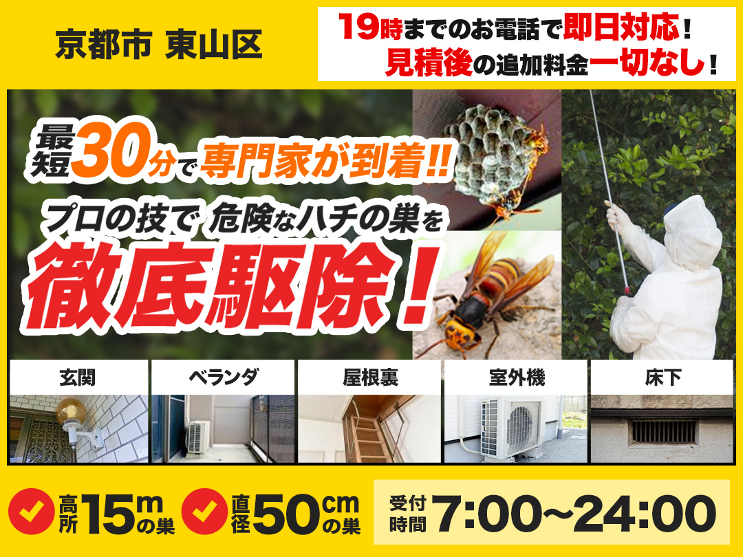 蜂の巣駆除救Q車.24【京都市 東山区エリア】のメイン画像