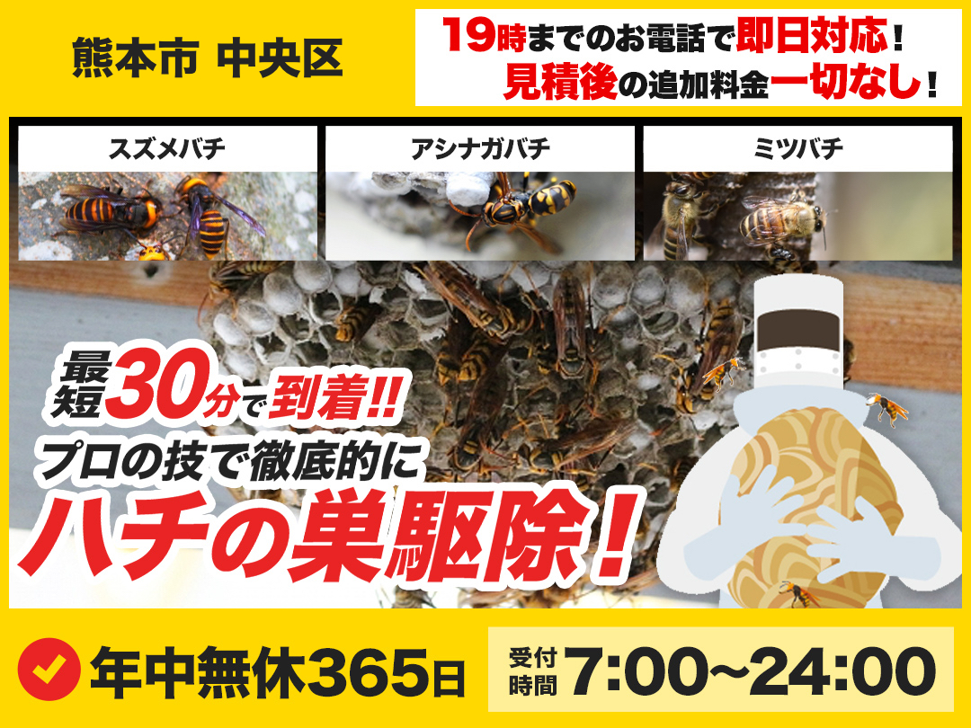 蜂の巣駆除専門救急車【熊本市 中央区エリア】のメイン画像