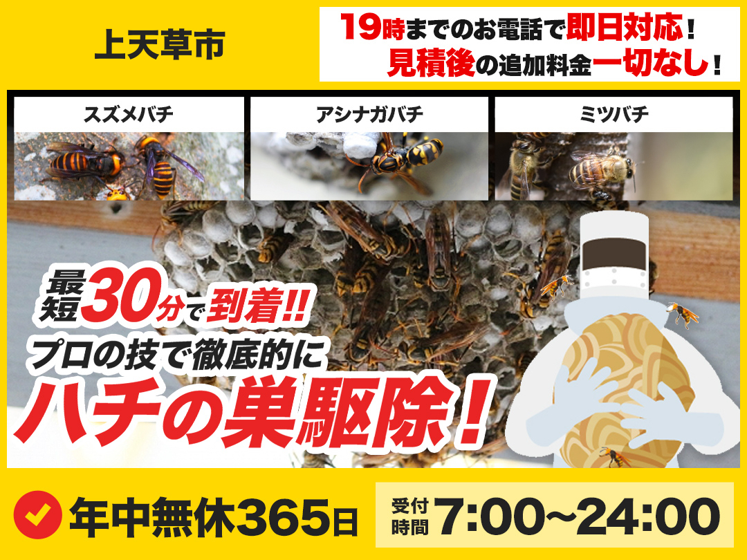 蜂の巣駆除救急車.24【上天草市エリア】のメイン画像