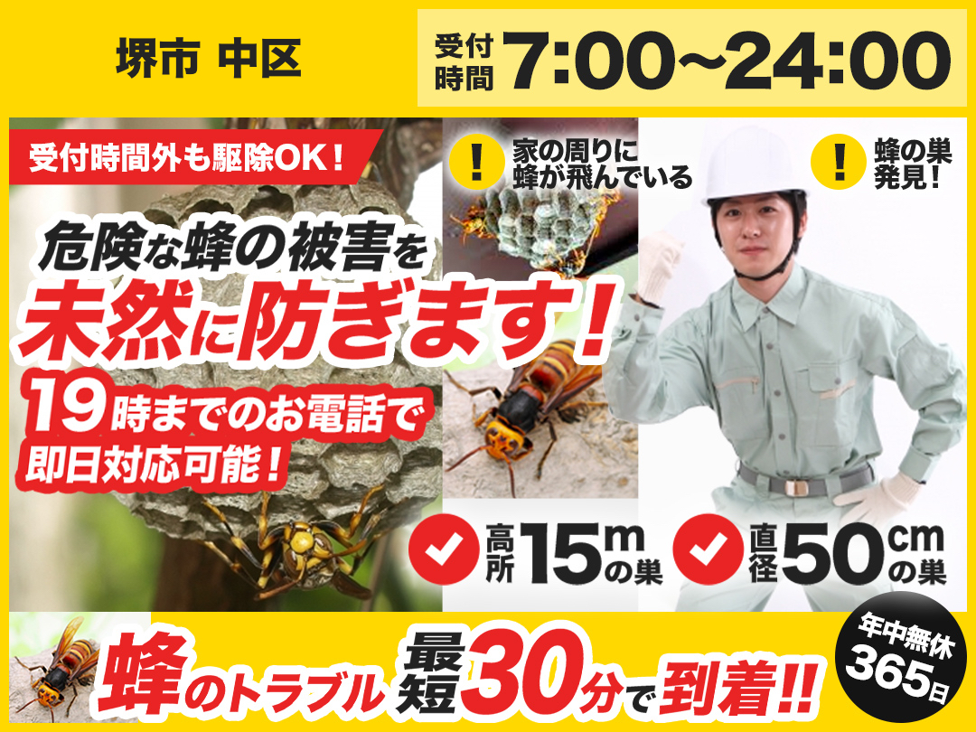 蜂の巣トラブル救Q隊.24【堺市 中区エリア】のメイン画像