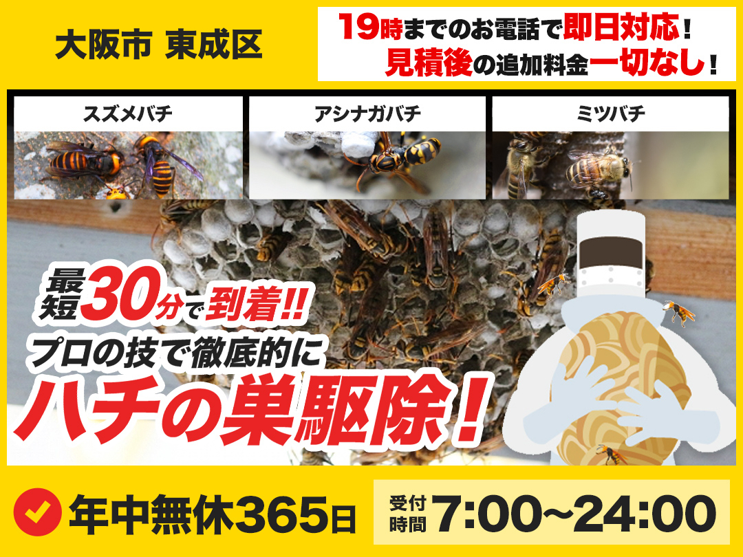 蜂の巣駆除専門救急車【大阪市 東成区エリア】のメイン画像