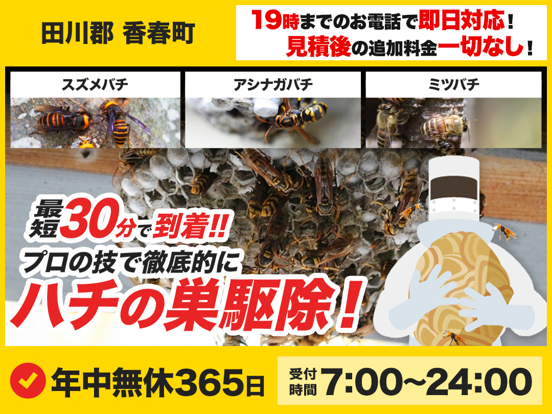 蜂の巣駆除専門救急車【田川郡 香春町エリア】のメイン画像