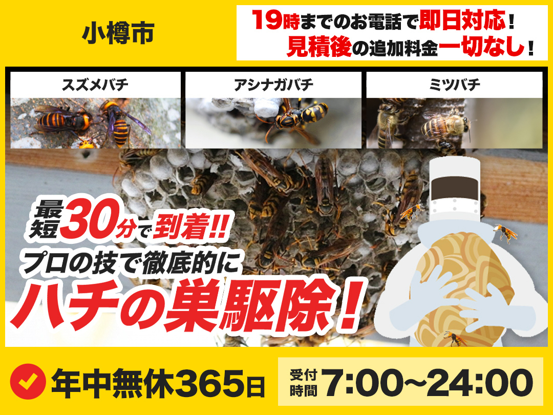 蜂の巣駆除救Q隊.24【小樽市エリア】のメイン画像