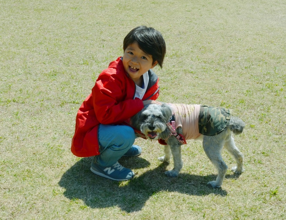 蜂の巣駆除救急車.24【犬上郡 甲良町エリア】のアピールポイント3